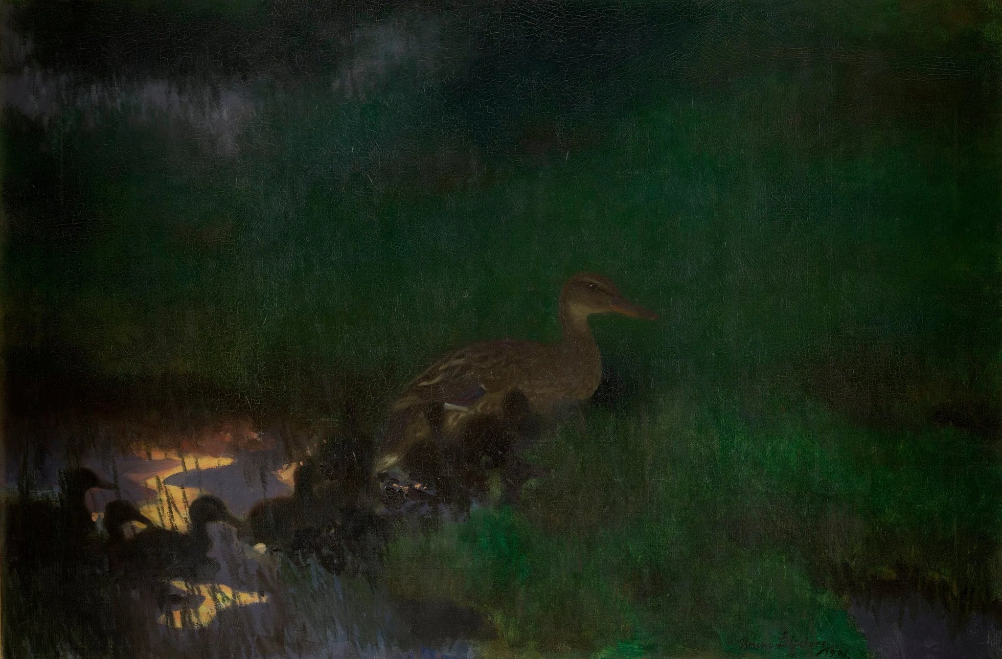 Couvée de canards sauvages - Bruno Liljefors image 1 reproduction de peinture à l’huile