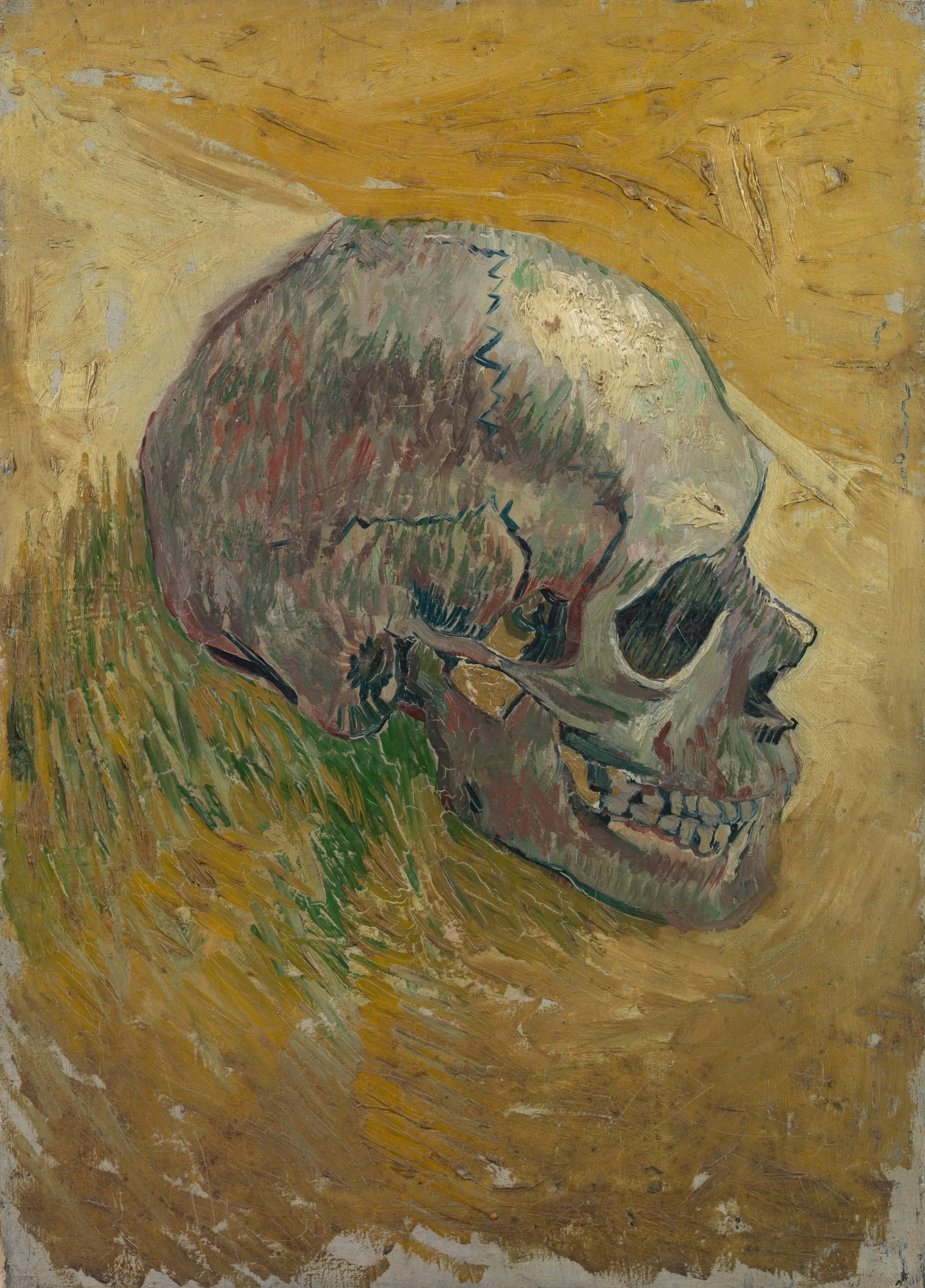 Crâne F297 de Vincent van Gogh, étude parisienne du Van Gogh Museum