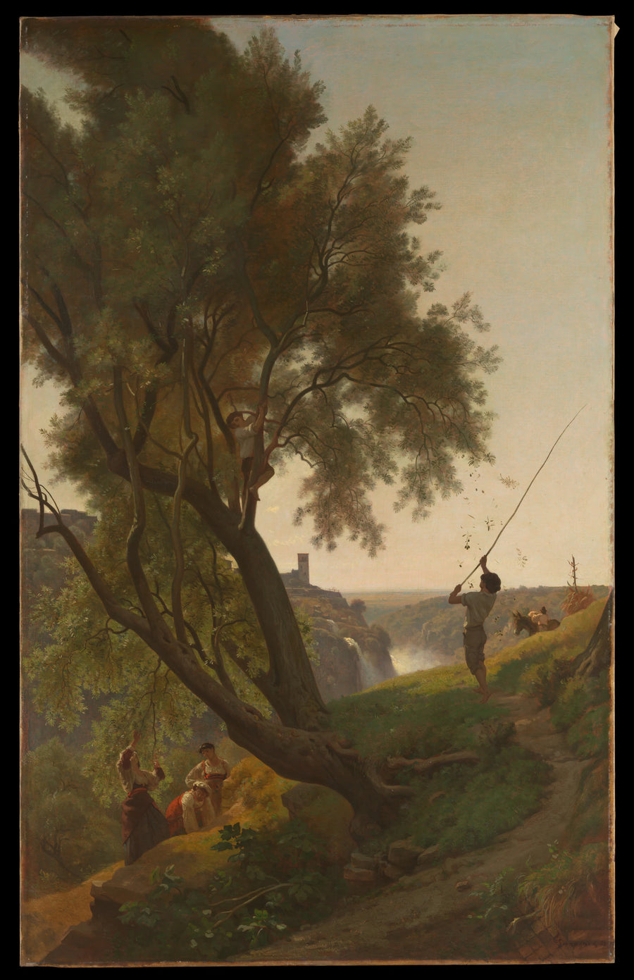 Cueillette des olives à Tivoli - François-Louis Français