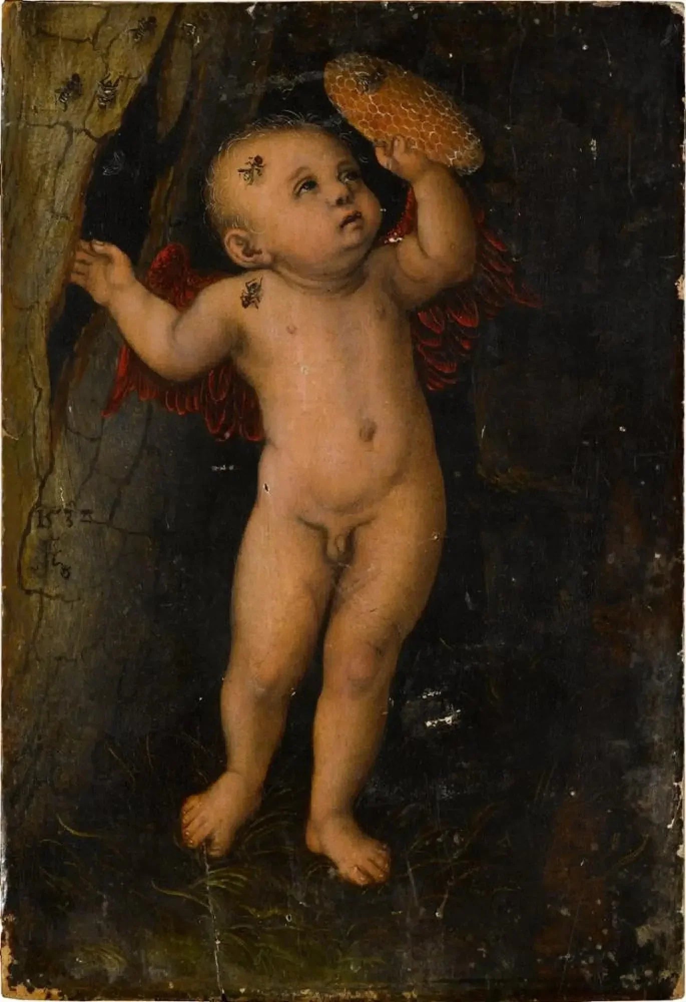 Cupidon comme voleur de miel - Lucas Cranach the Elder image 1 copie peinte à la main à l’huile