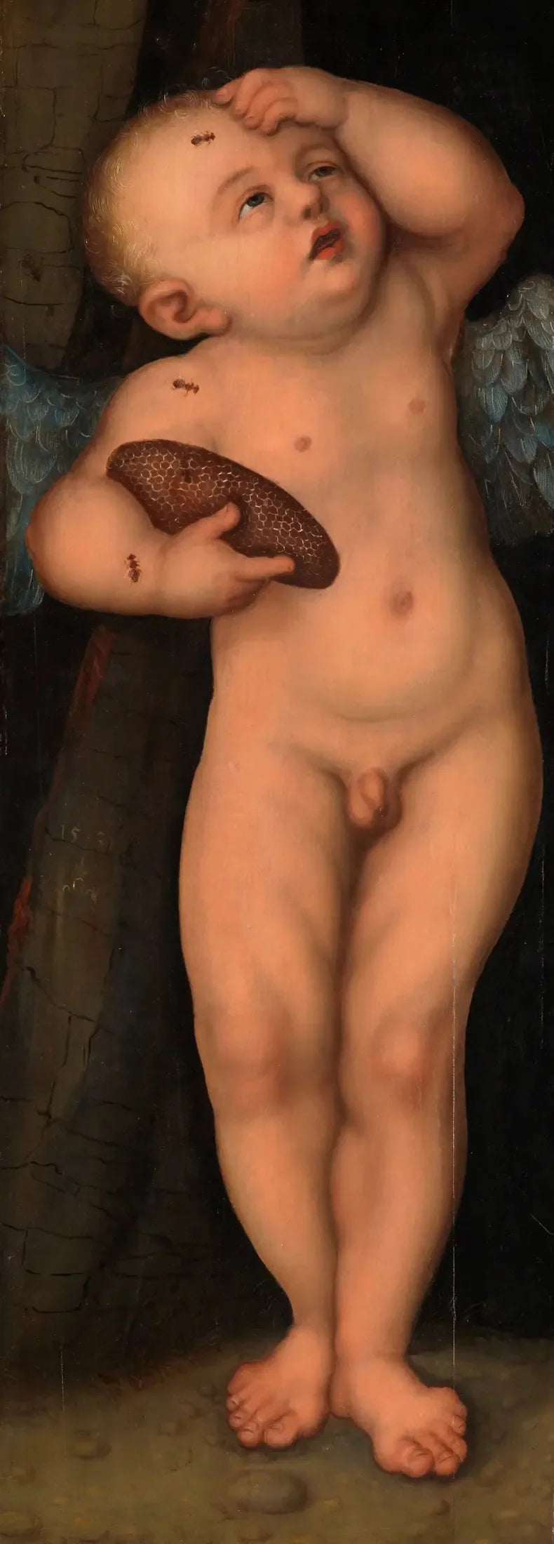 Cupidon comme voleur de miel - Lucas Cranach the Elder image 1 copie de tableau peinte à la main