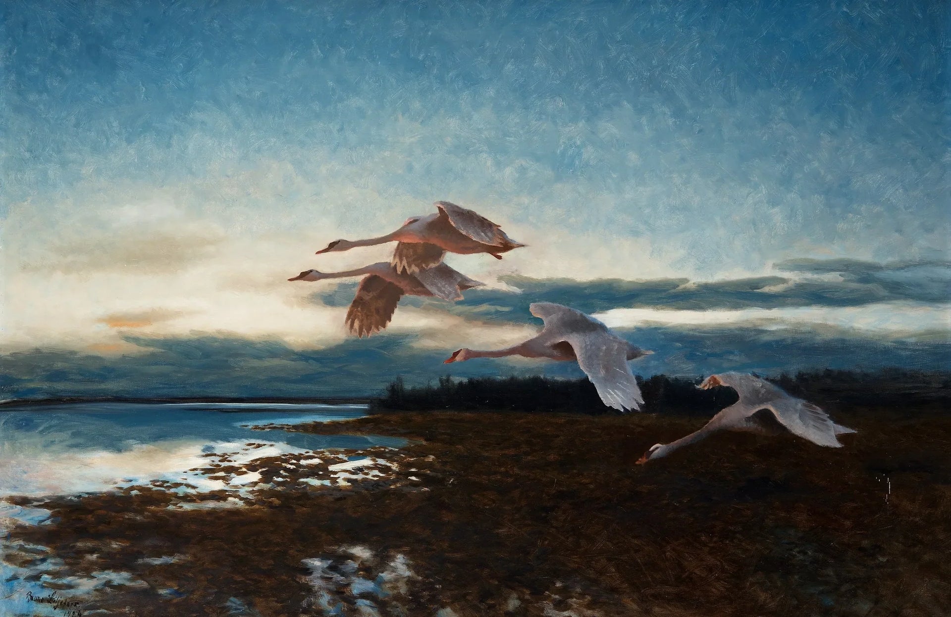 Cygnes - Bruno Liljefors image 1 reproduction réalisée par Alpha Reproduction