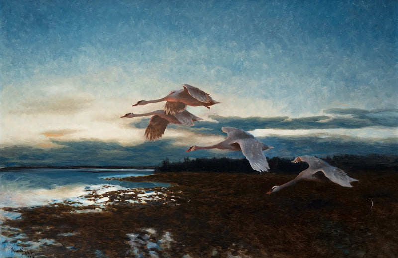 Cygnes - Bruno Liljefors
