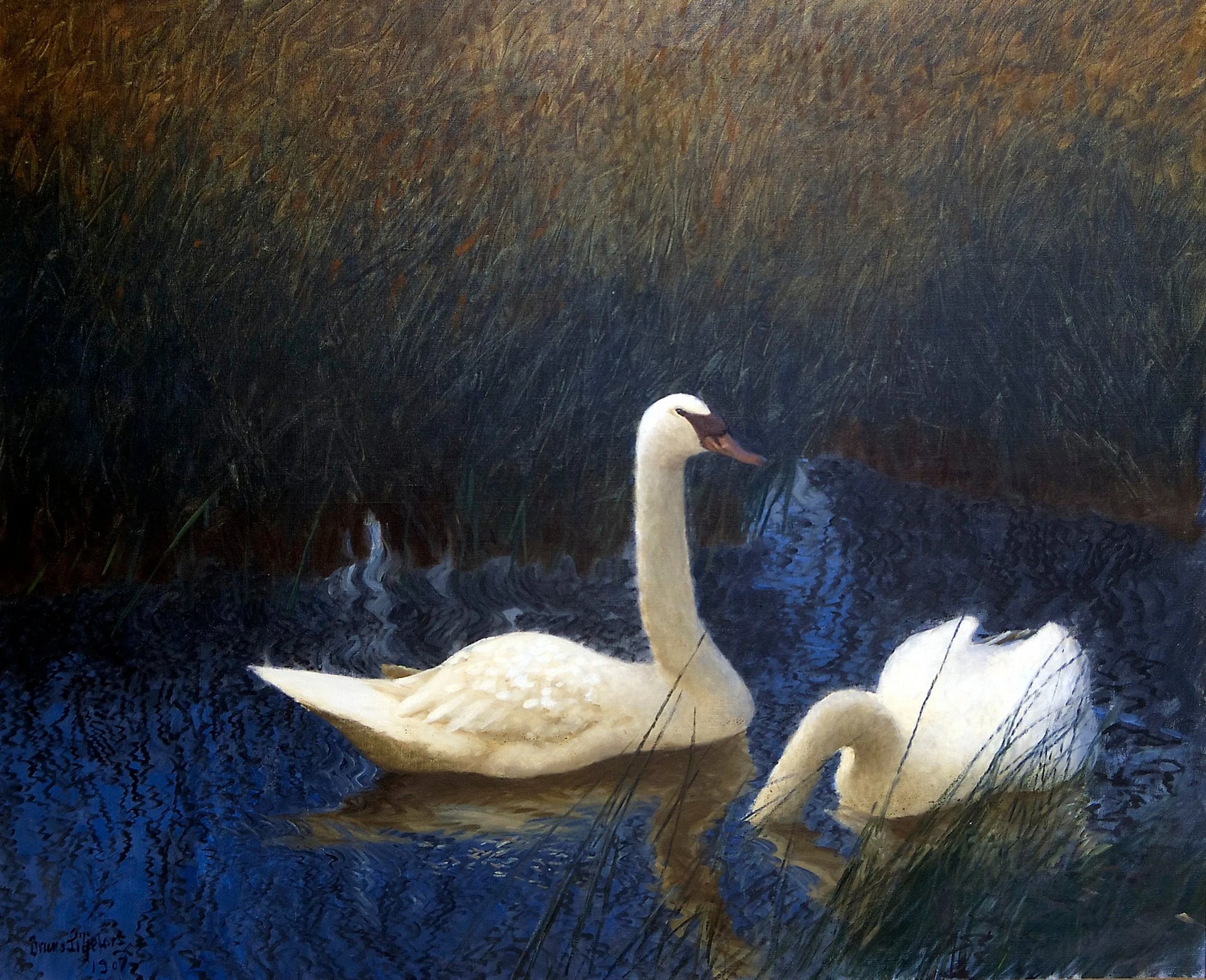 Cygnes dans les roseaux - Bruno Liljefors image 1 reproduction artisanale de tableau
