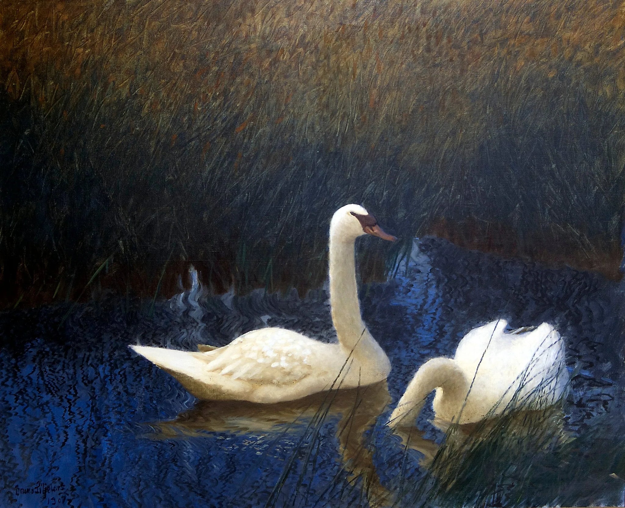 Cygnes dans les roseaux - Bruno Liljefors image 1 reproduction artisanale de tableau