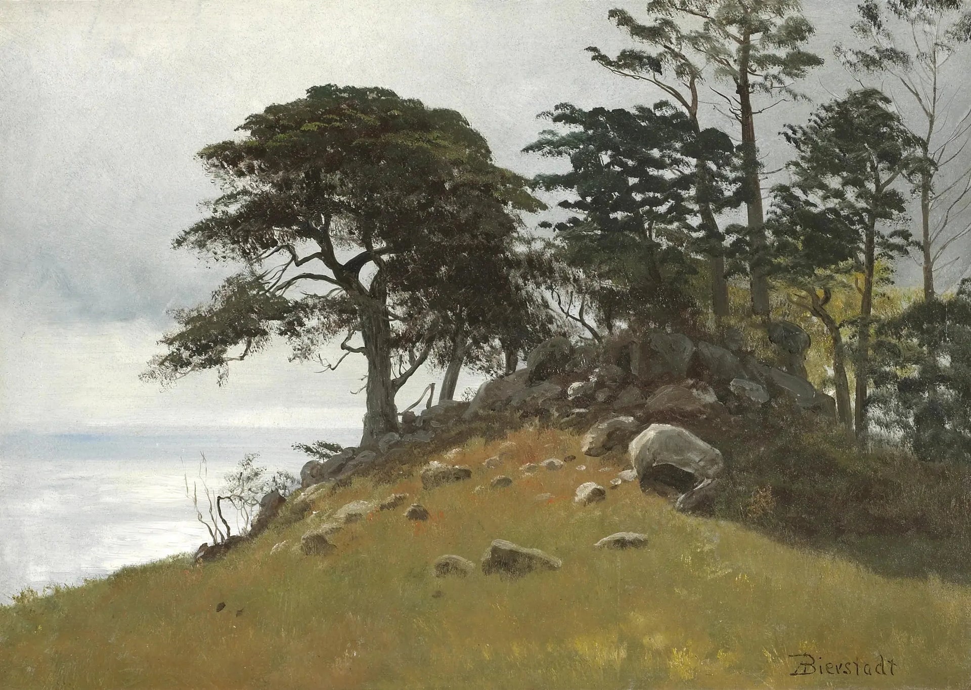 Cypress Point, Monterey - Albert Bierstadt image 1 copie de tableau peinte à la main