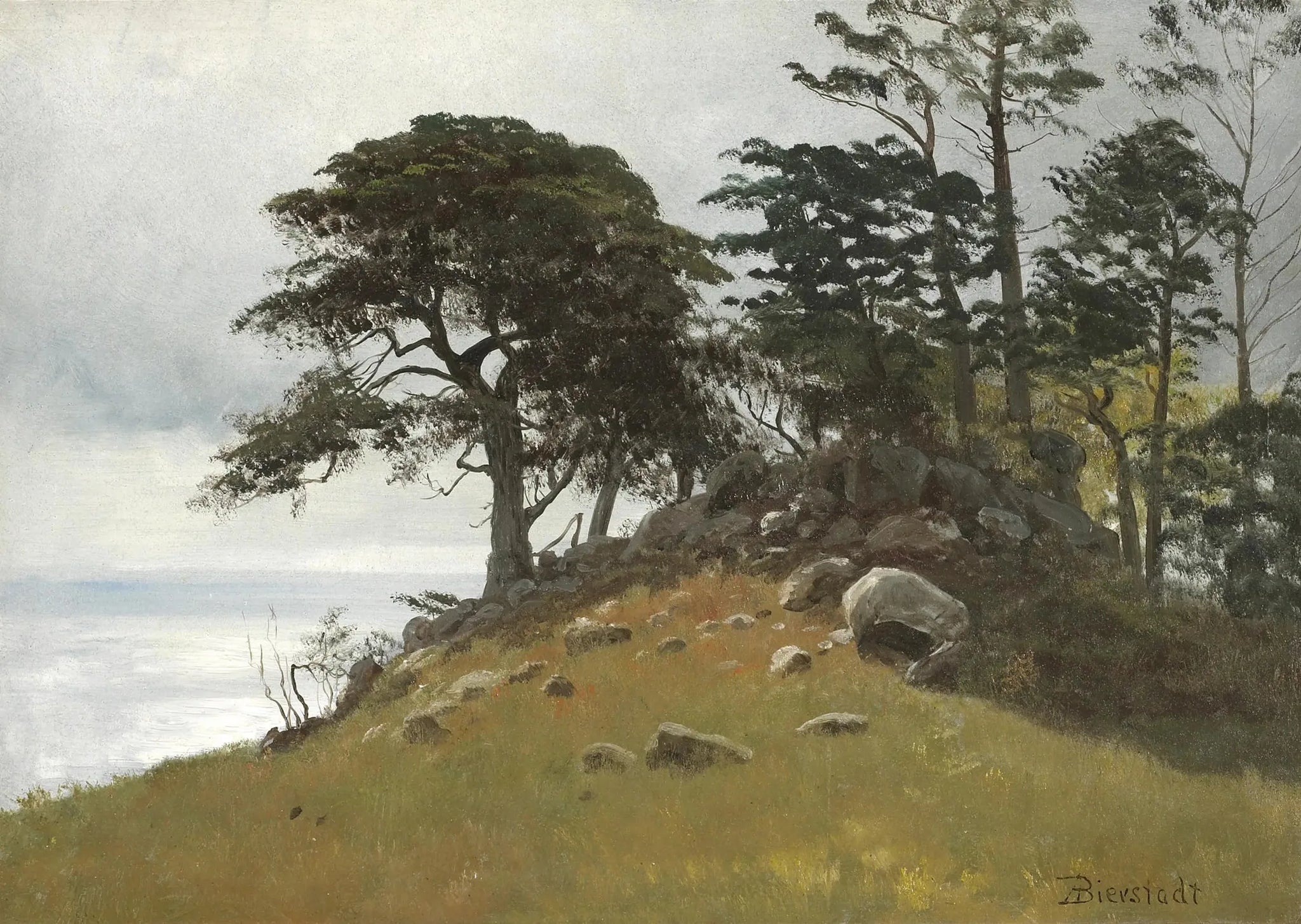 Cypress Point, Monterey - Albert Bierstadt image 1 copie de tableau peinte à la main