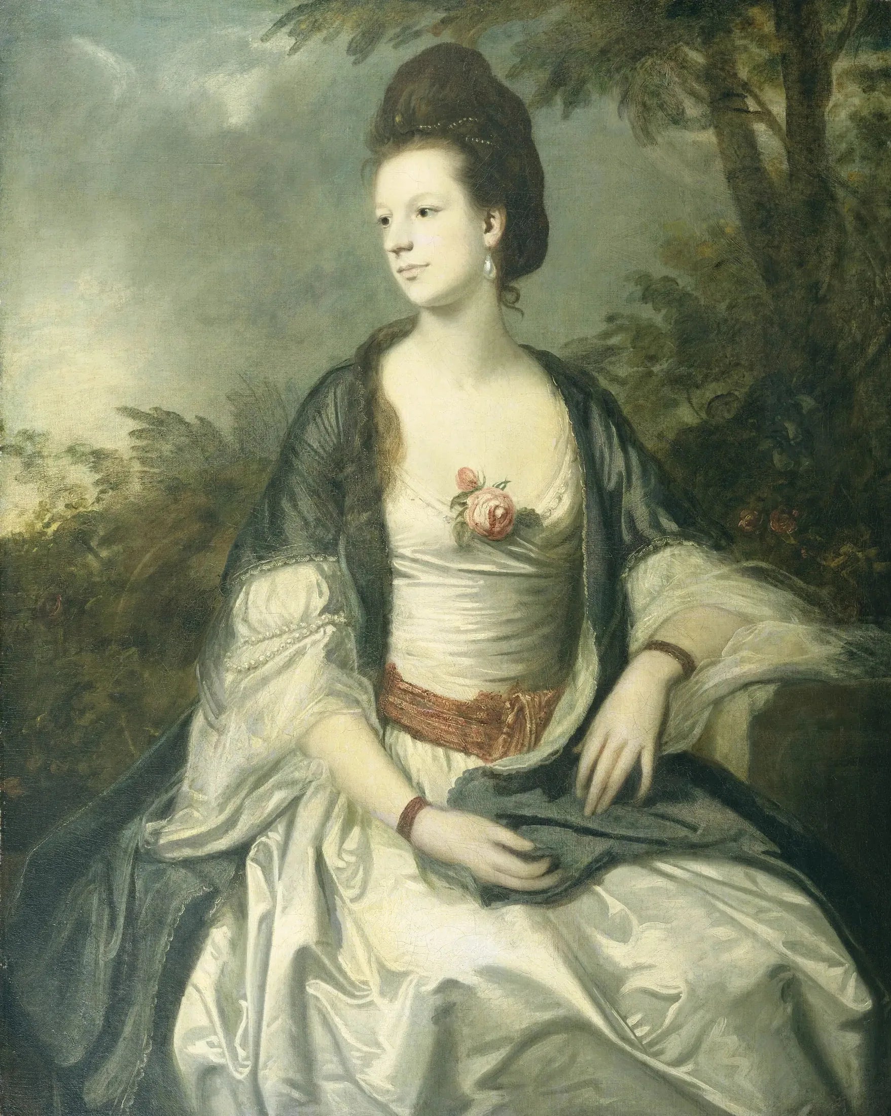 Dame Cecil Rice - Joshua Reynolds image 1 reproduction de peinture à l’huile