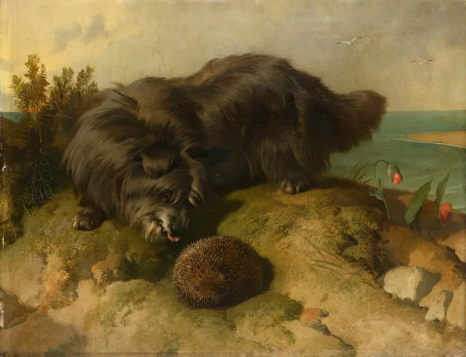 Dandie Dinmont - Edwin Henry Landseer image 1 reproduction artisanale de tableau
