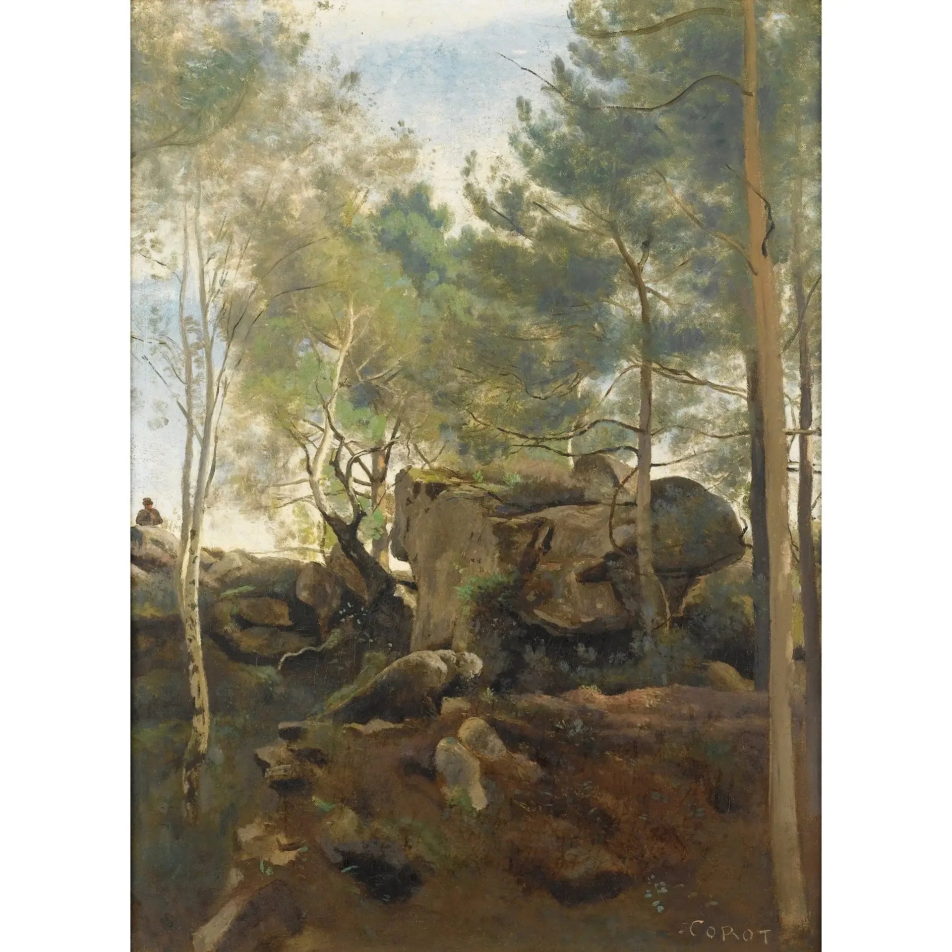 Dans la forêt de Fontainebleau. Pins et bouleaux dans les rochers - Jean-Baptiste Camille Corot image 1 reproduction réalisée par Alpha Reproduction