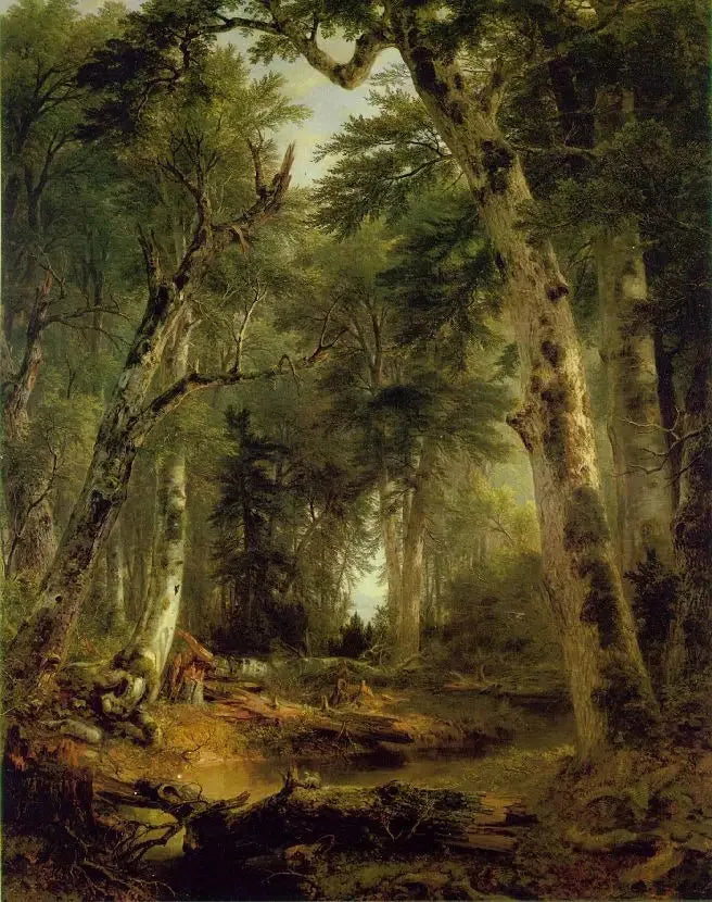Dans les bois - Asher Brown Durand image 1 copie de tableau peinte à la main