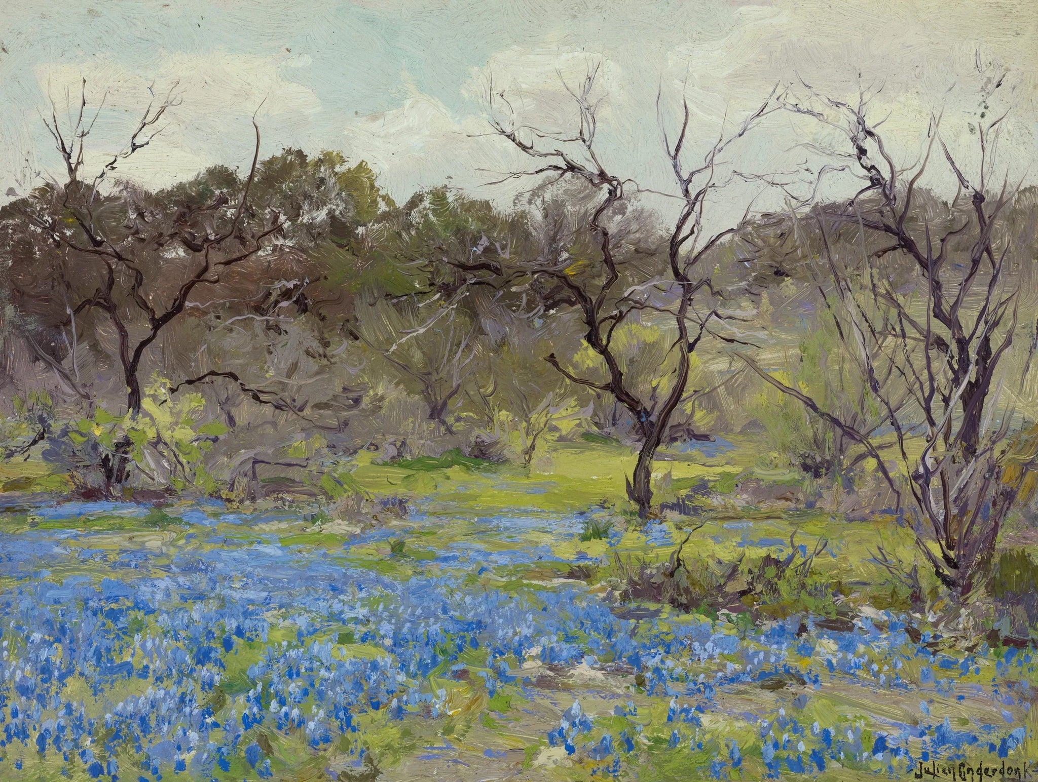 Début du printemps — Lupins bleus et mesquites - Julian Onderdonk image 1 reproduction réalisée par Alpha Reproduction