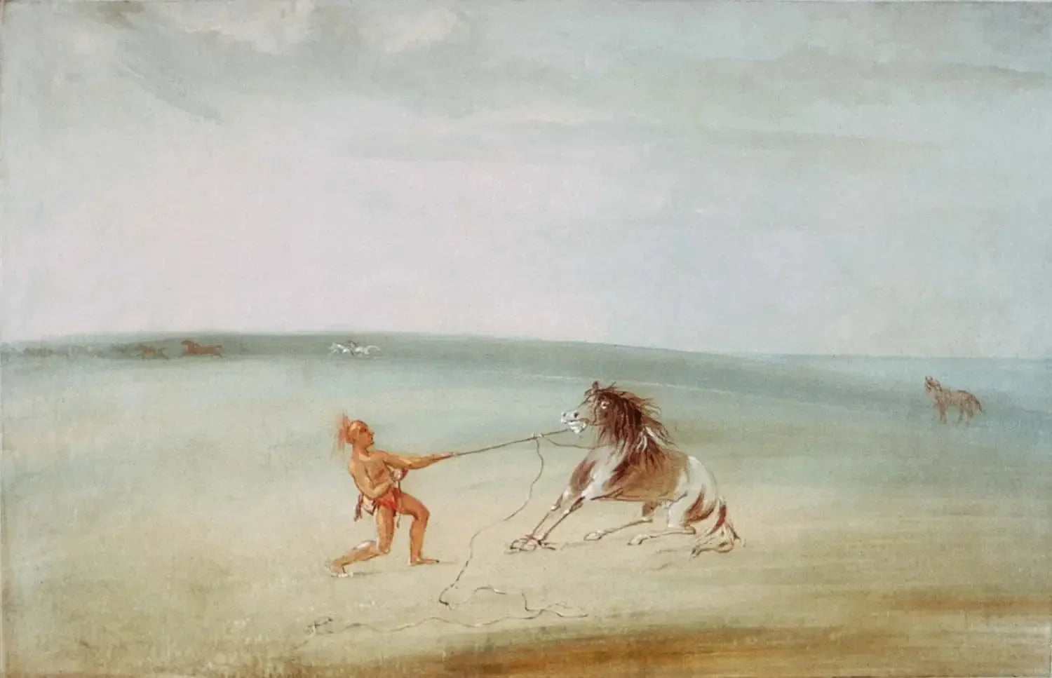 Décomposer le cheval sauvage - George Catlin image 1 reproduction artisanale de tableau