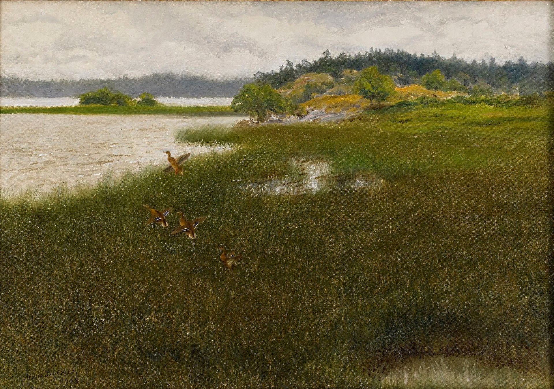 Des canards décollent - Bruno Liljefors image 1 reproduction artisanale de tableau