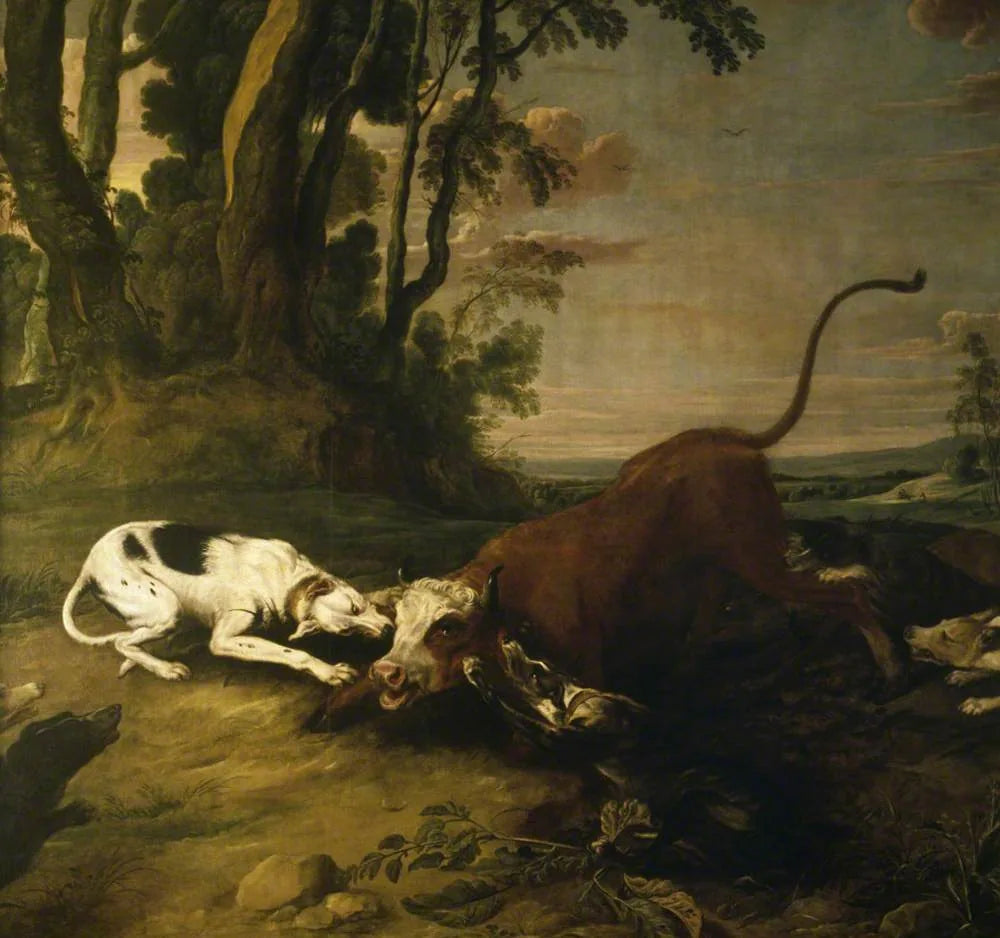 Des chiens attaquent un taureau - Frans Snyders image 1 copie de tableau peinte à la main