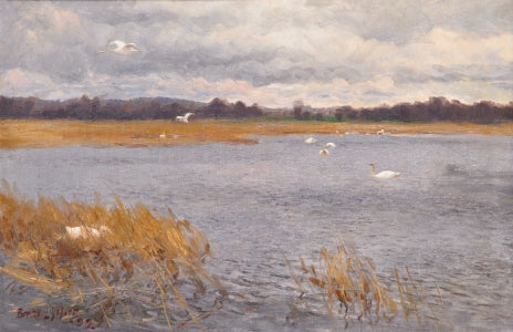 Des cygnes au cours d'eau - Bruno Liljefors image 1 reproduction artisanale de tableau