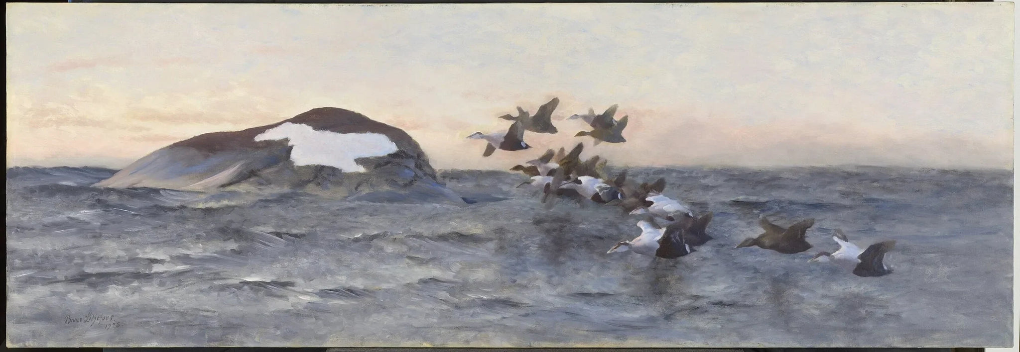 Des eiders volant près d'une falaise - Bruno Liljefors image 1 copie de tableau peinte à la main