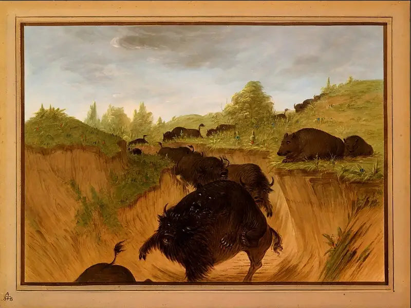 Des grizzlis attaquent des bisons - George Catlin image 1 reproduction réalisée par Alpha Reproduction