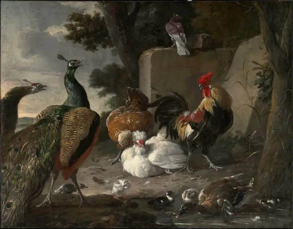 Des paons en compagnie de la volaille d'une basse-cour - Melchior de Hondecoeter image 1 copie peinte à la main à l’huile