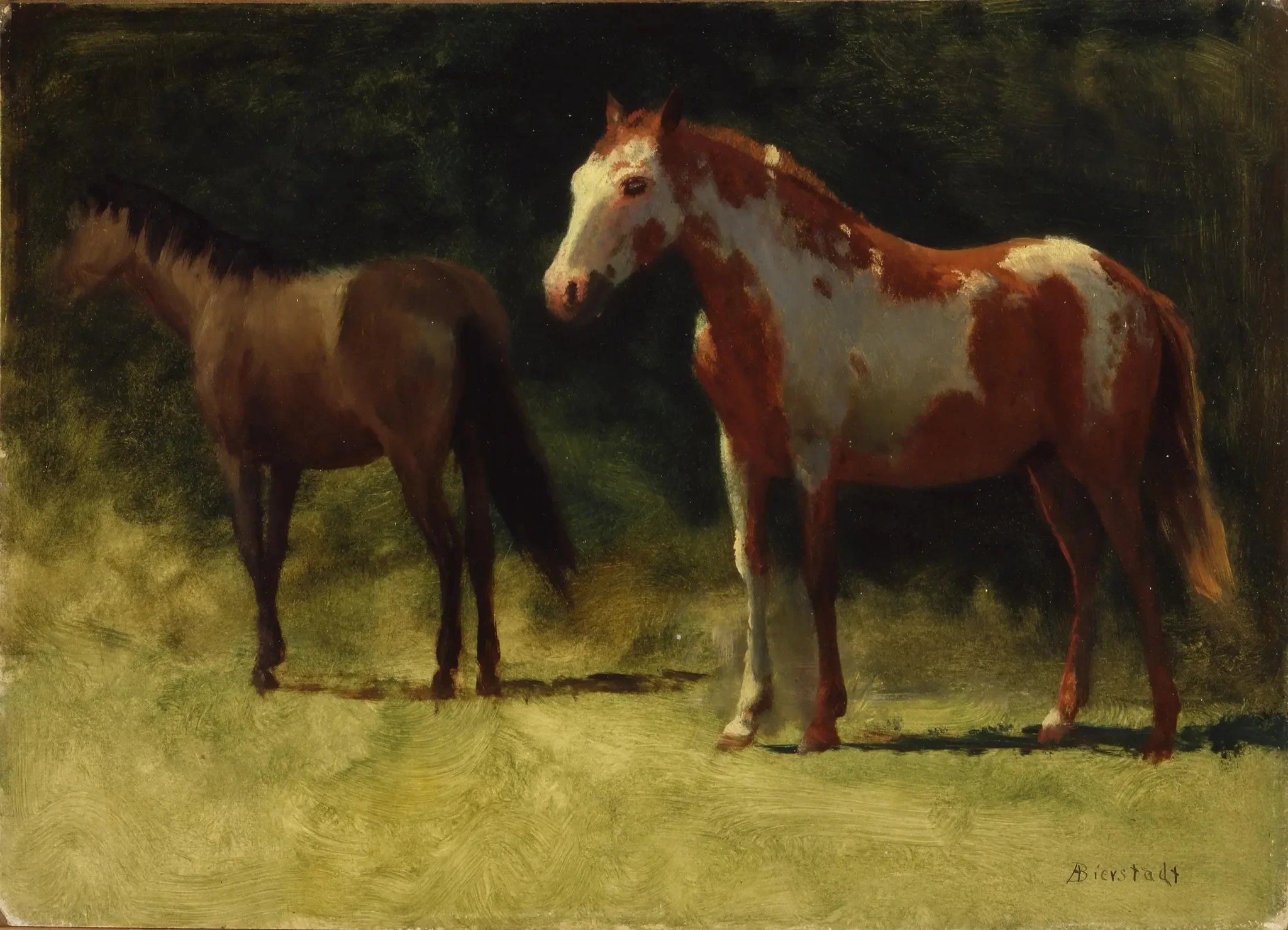 Deux chevaux - Albert Bierstadt image 1 reproduction de peinture à l’huile
