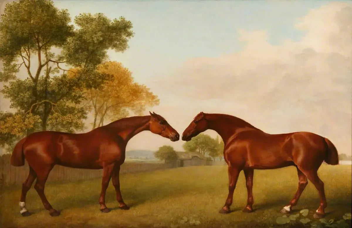 Deux chevaux dans un enclos - George Stubbs image 1 copie peinte à la main à l’huile