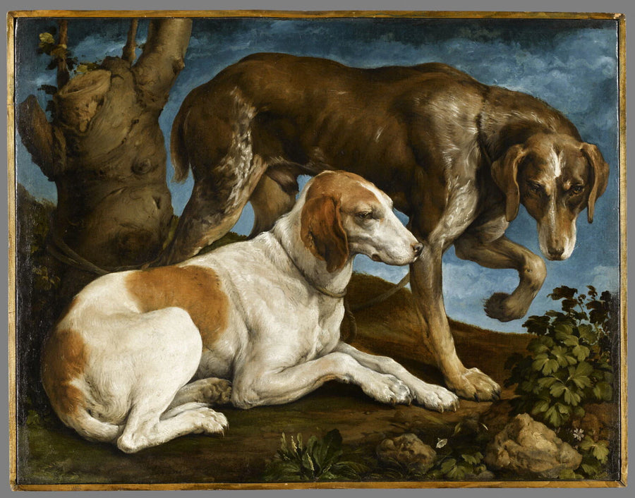 Deux chiens de chasse attachés à une souche - Bassano, Jacopo (Jacopo dal Ponte, dit)