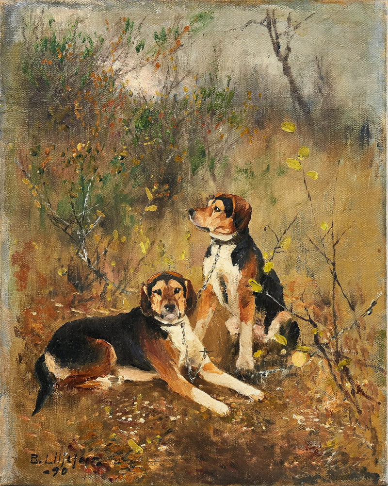 Deux chiens de chasse à l'odeur - Bruno Liljefors