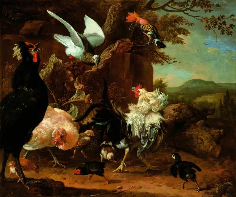 Deux coqs, une poule et des poulets avec une colombe et une huppe. - Melchior de Hondecoeter image 1 tableau peint à l’huile sur toile