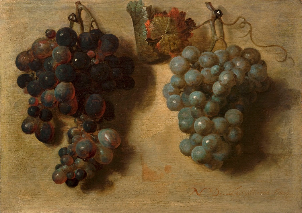 Deux grappes de raisin - Nicolas de Largillière image 1 tableau peint à l’huile sur toile
