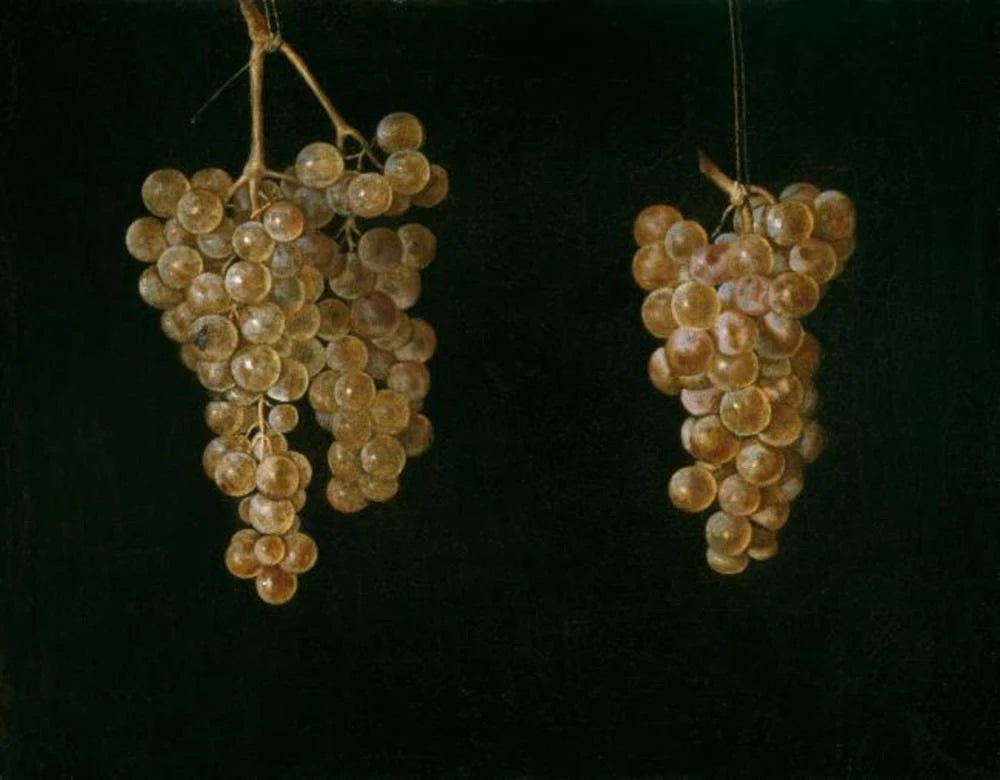 Deux grappes de raisin avec une mouche - Miguel de Pret