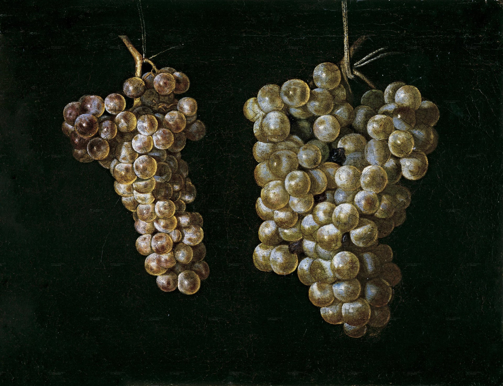 Deux grappes de raisin - Miguel de Pret