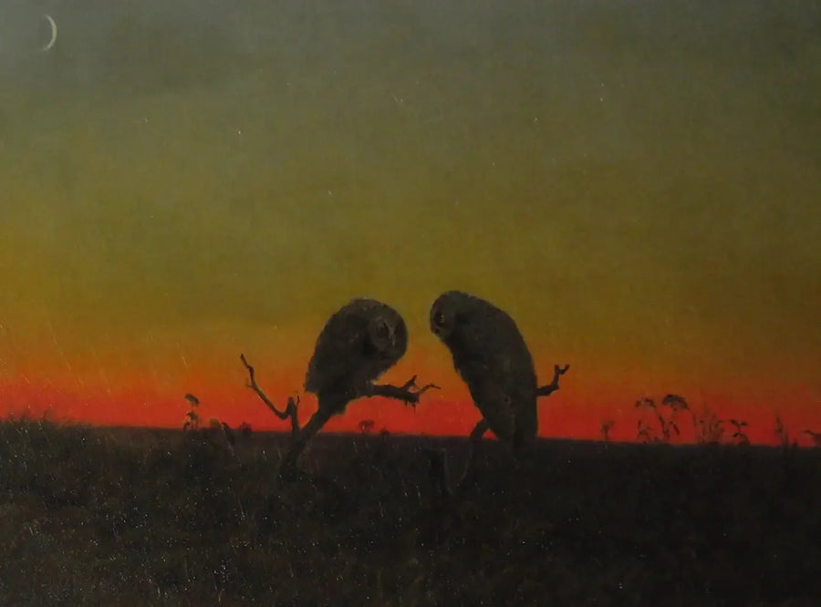 Deux hiboux au coucher du soleil - Martin Johnson Heade