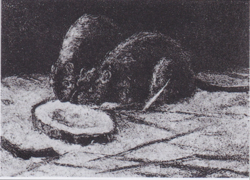 Deux Rats, F177 – Van Gogh