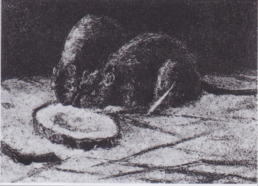 Deux Rats, F177 – Van Gogh