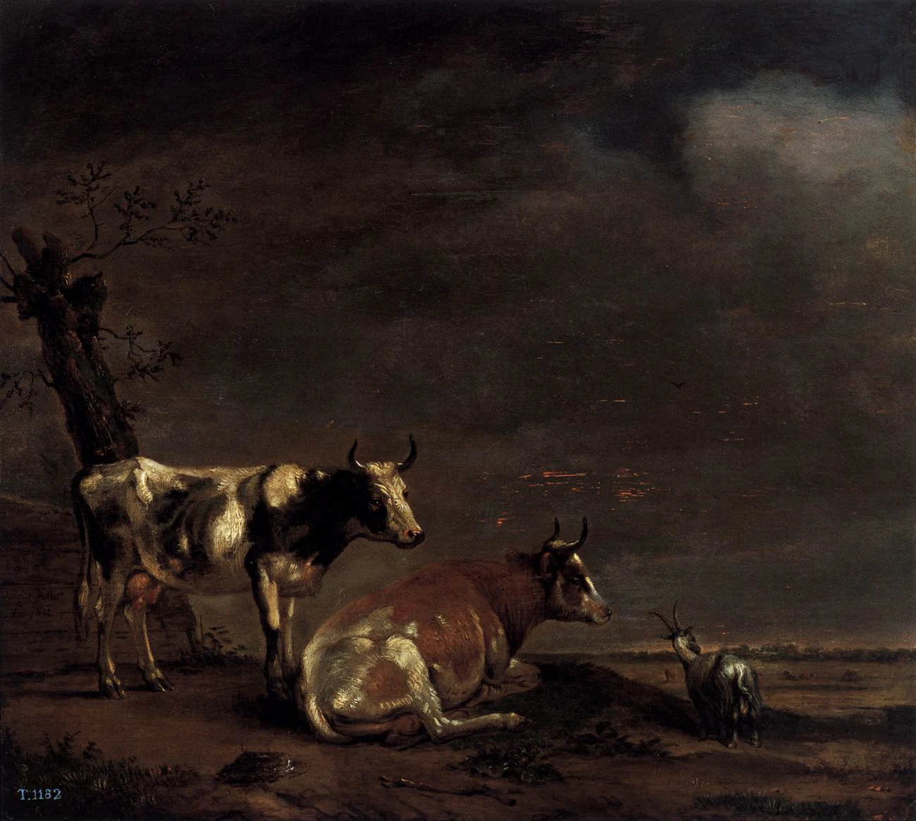 Deux Vaches dans un pré - Paulus Potter