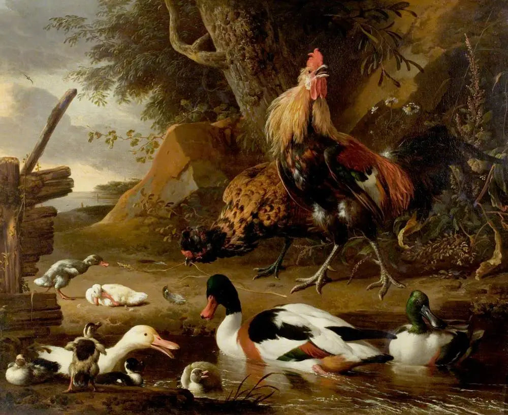 Deux volailles et canards sur un étang - Melchior de Hondecoeter image 1 tableau peint à l’huile sur toile