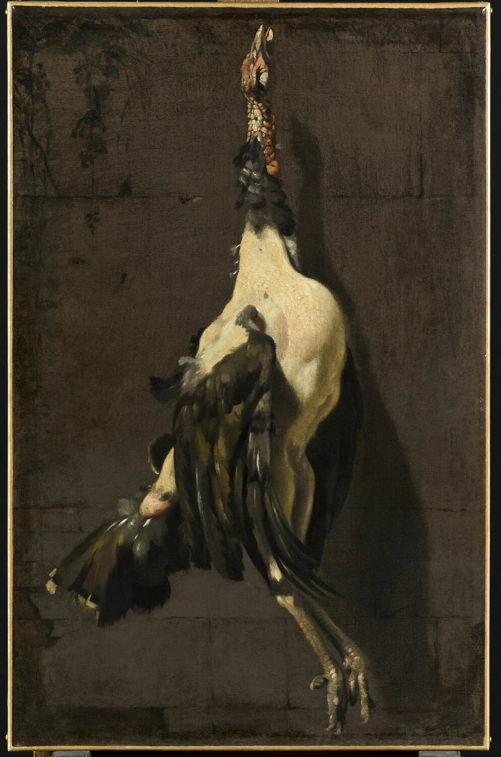 Le dindon - Artiste inconnu