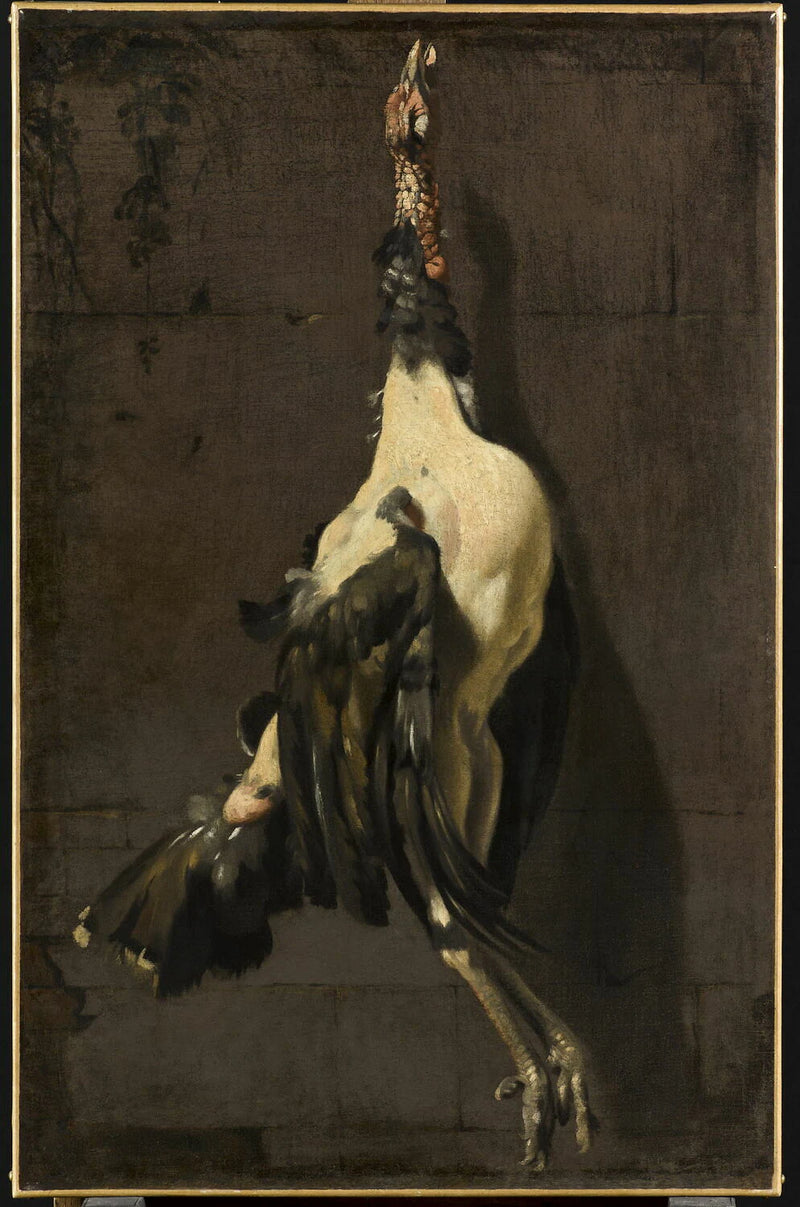 Le dindon - Artiste inconnu