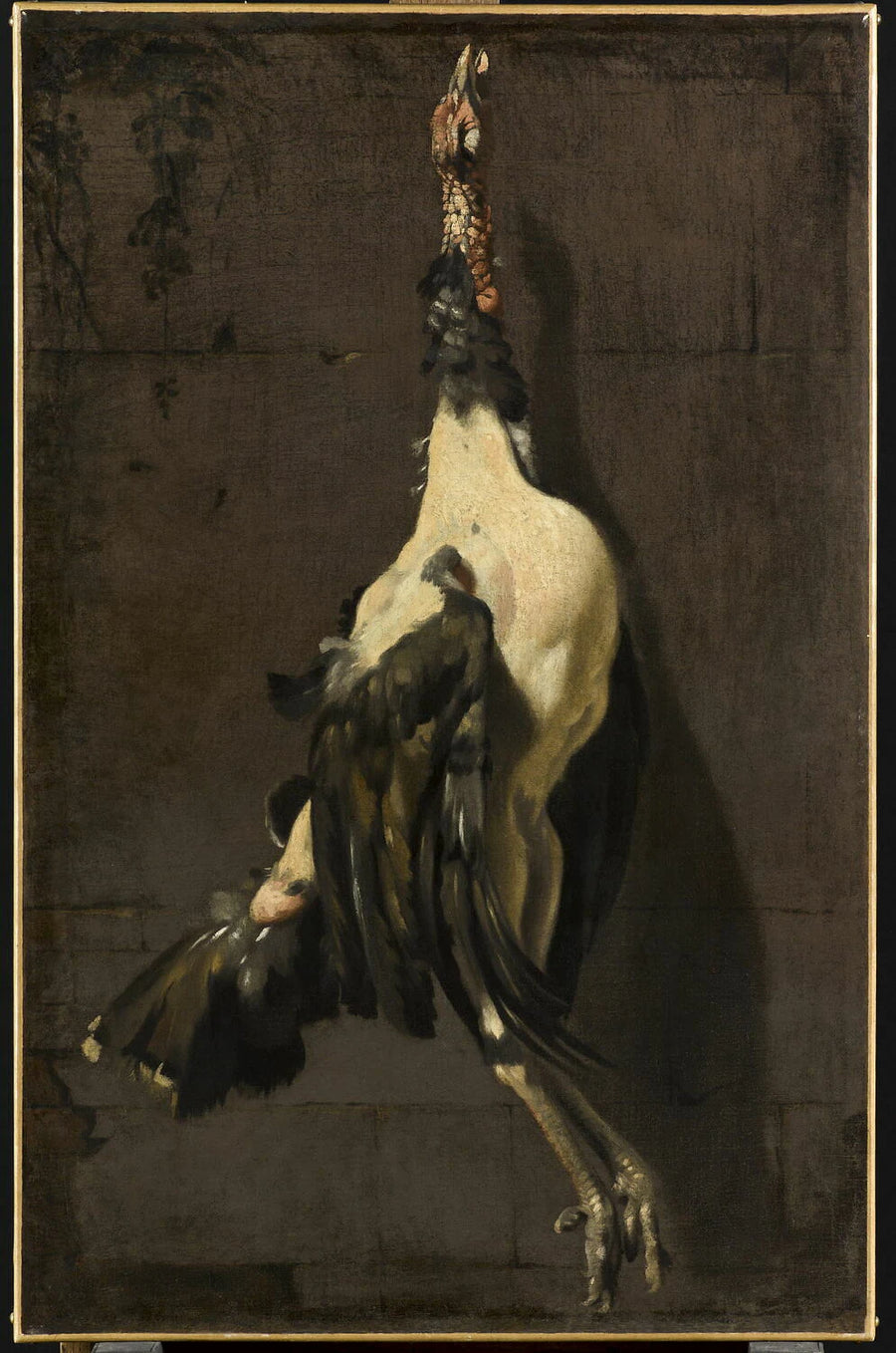 Le dindon - Artiste inconnu