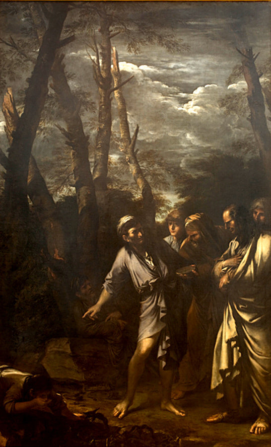 Diogène jetant sa coupe à boire - Salvator Rosa image 1 reproduction artisanale de tableau