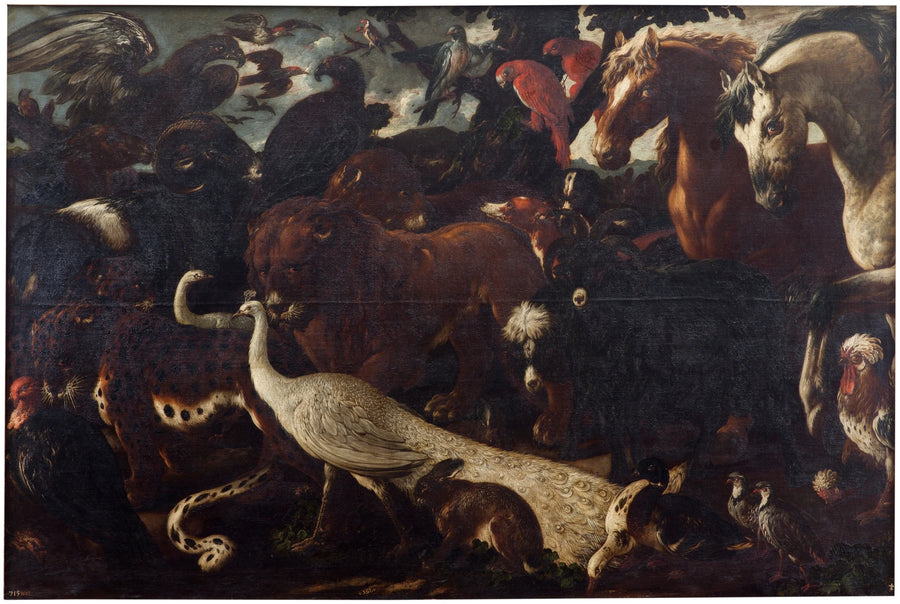 Divers animaux rassemblés devant l'Arche de Noé - Philipp Peter Roos