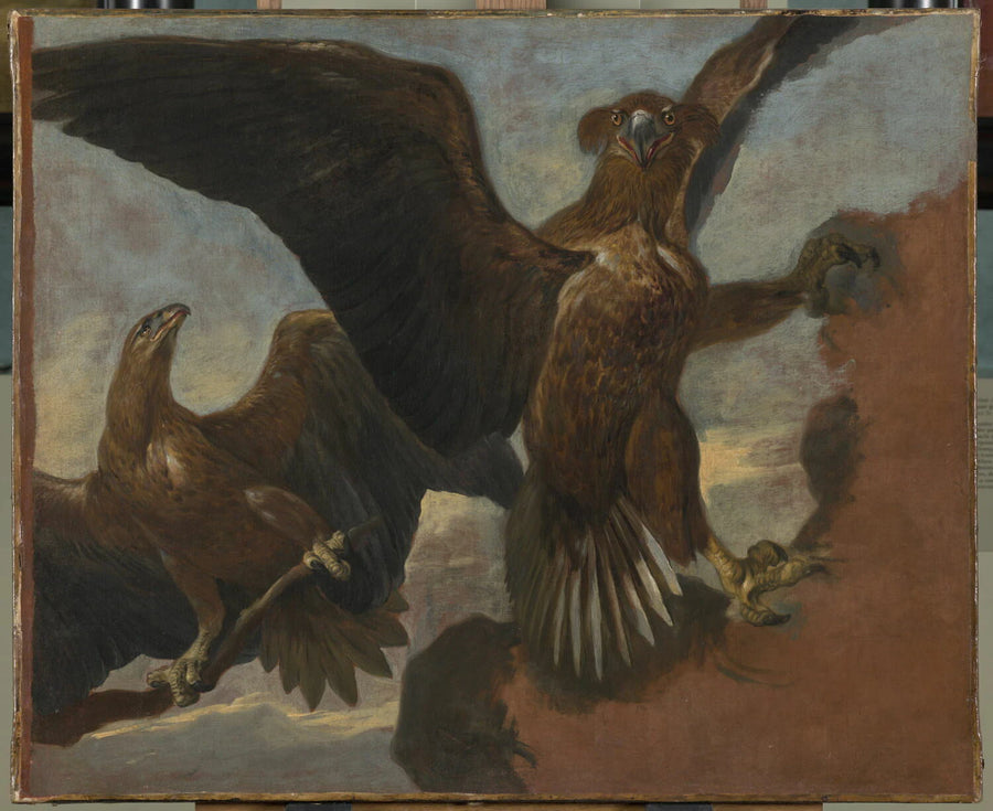 Double étude d'un aigle royal sur un rocher - Pieter Boel