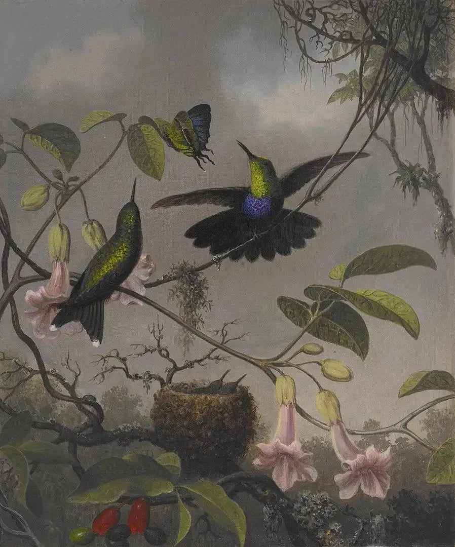 Dryade à queue fourchue - Martin Johnson Heade image 1 tableau peint à l’huile sur toile
