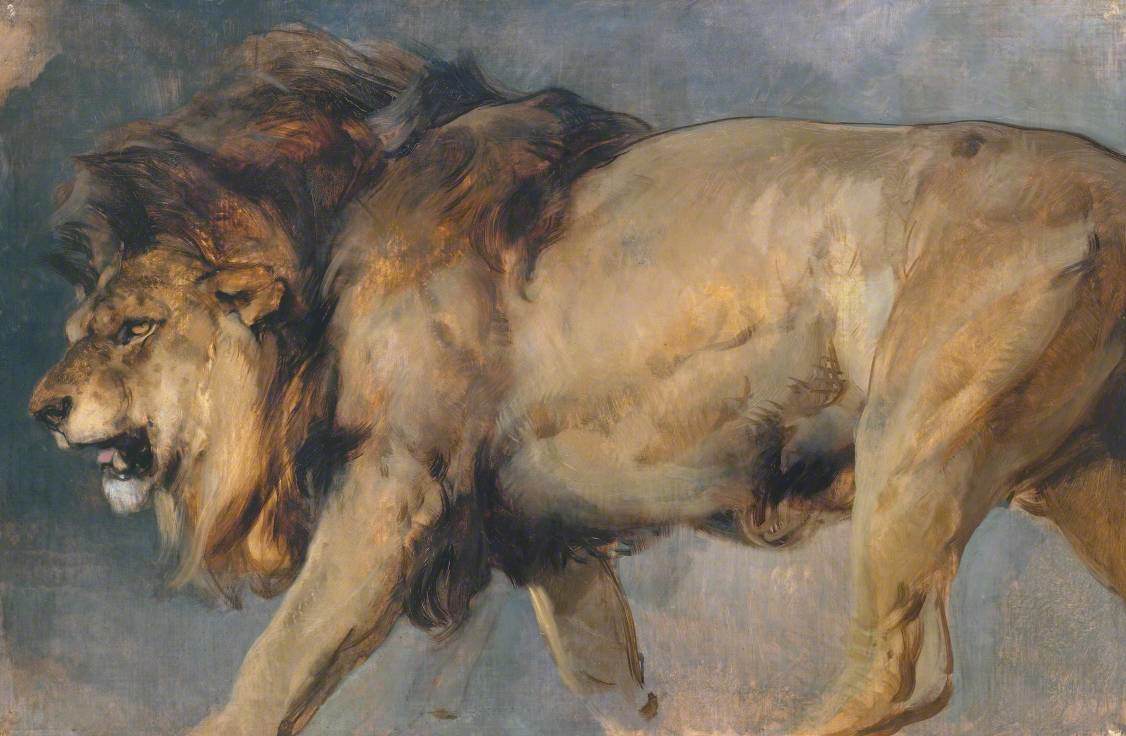 Étude de lion - Edwin Landseer