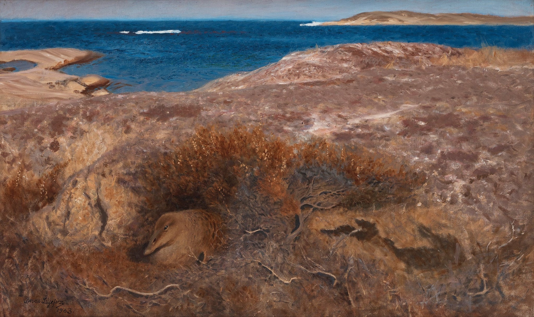 Eider couveur - Bruno Liljefors image 1 tableau peint à l’huile sur toile