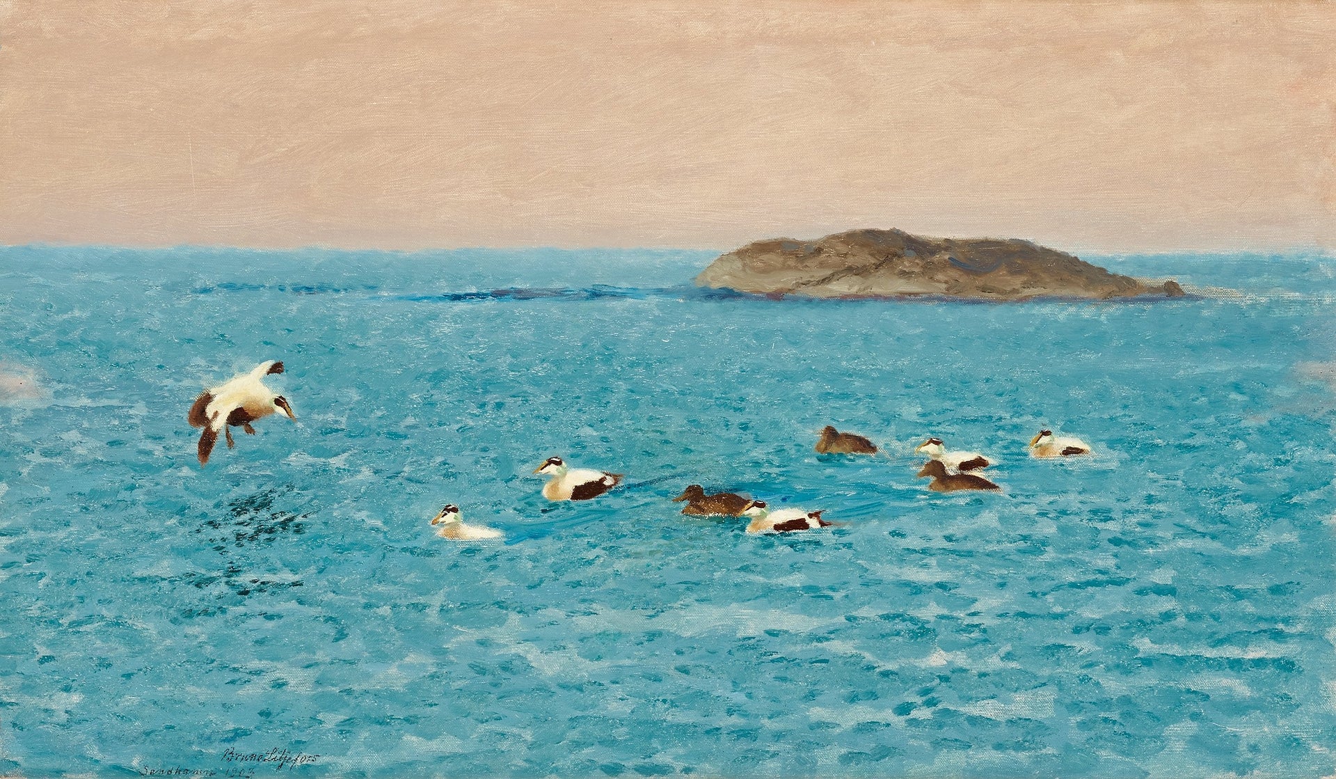 Eiders à duvet dans l'archipel extérieur - Bruno Liljefors image 1 copie de tableau peinte à la main