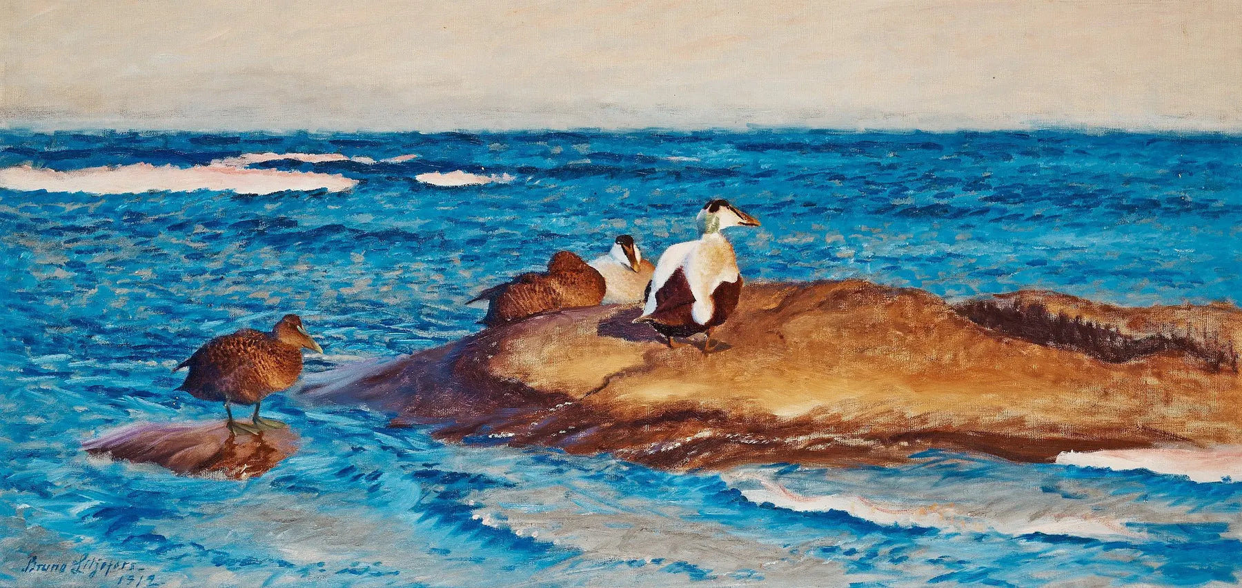 Eiders à duvet sur des îlots - Bruno Liljefors image 1 copie peinte à la main à l’huile