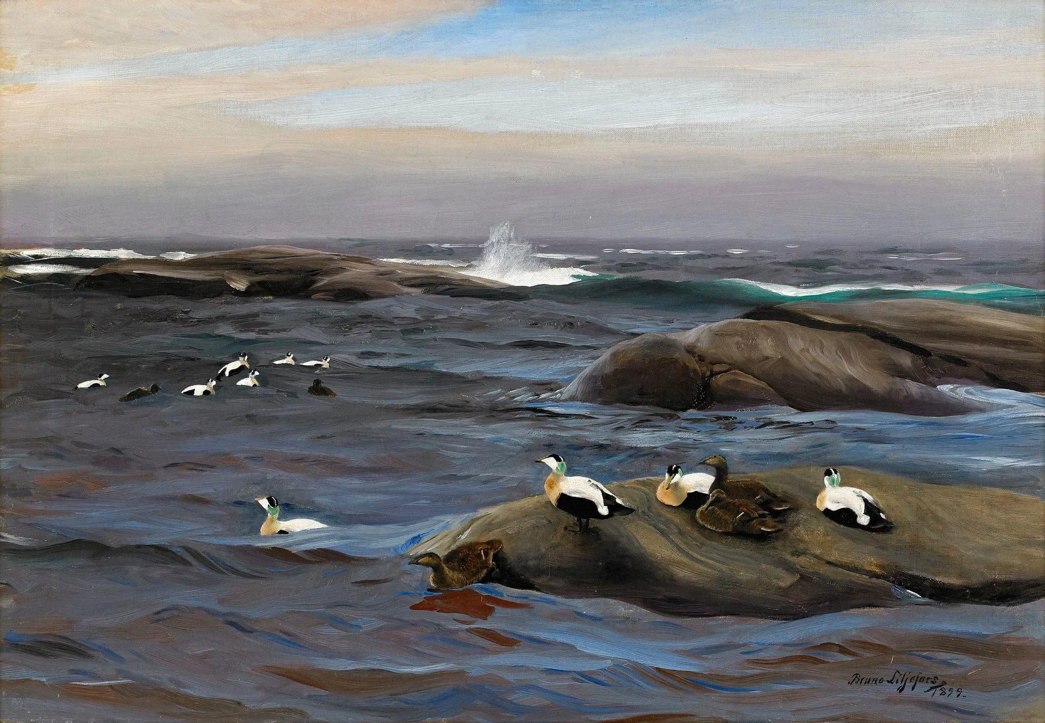 Eiders à duvet sur un îlot rocheux - Bruno Liljefors image 1 tableau peint à l’huile sur toile