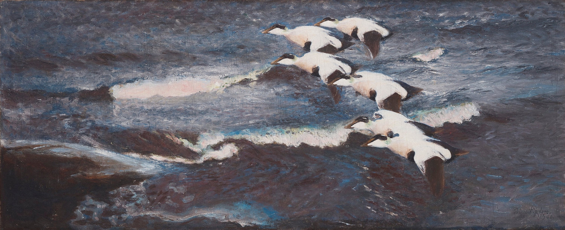 Eiders dans les vagues - Bruno Liljefors image 1 reproduction de peinture à l’huile