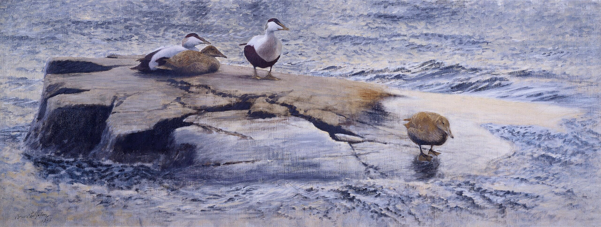 Eiders sur le Skerry - Bruno Liljefors image 1 copie peinte à la main à l’huile